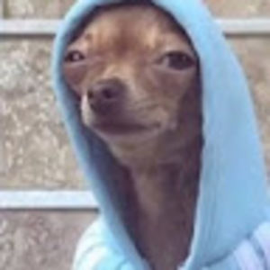 Meet your Posher, Karrigan